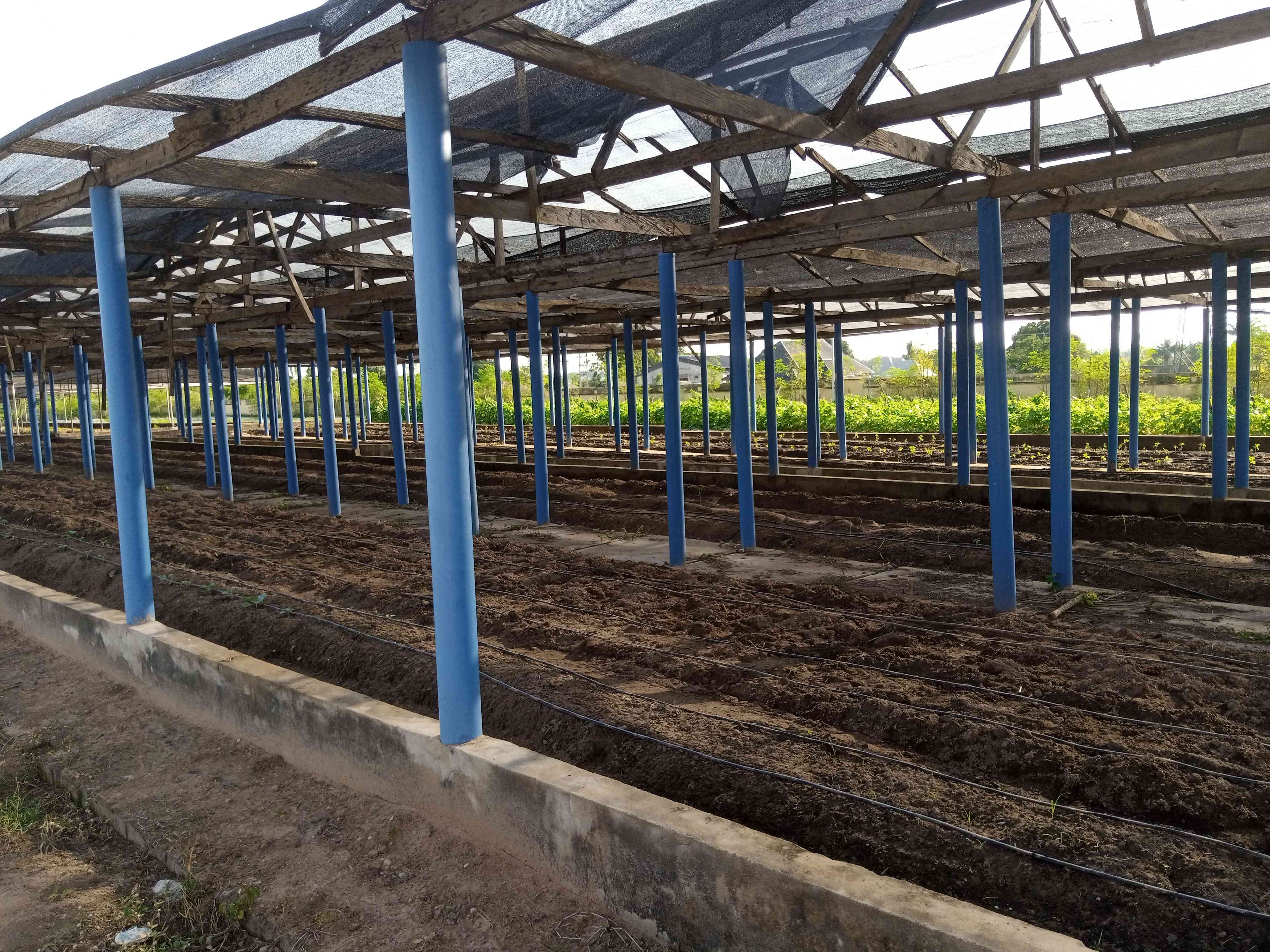 Songhai Modeled Farm (Integrated Water Resource Management Irrigation Scheme)