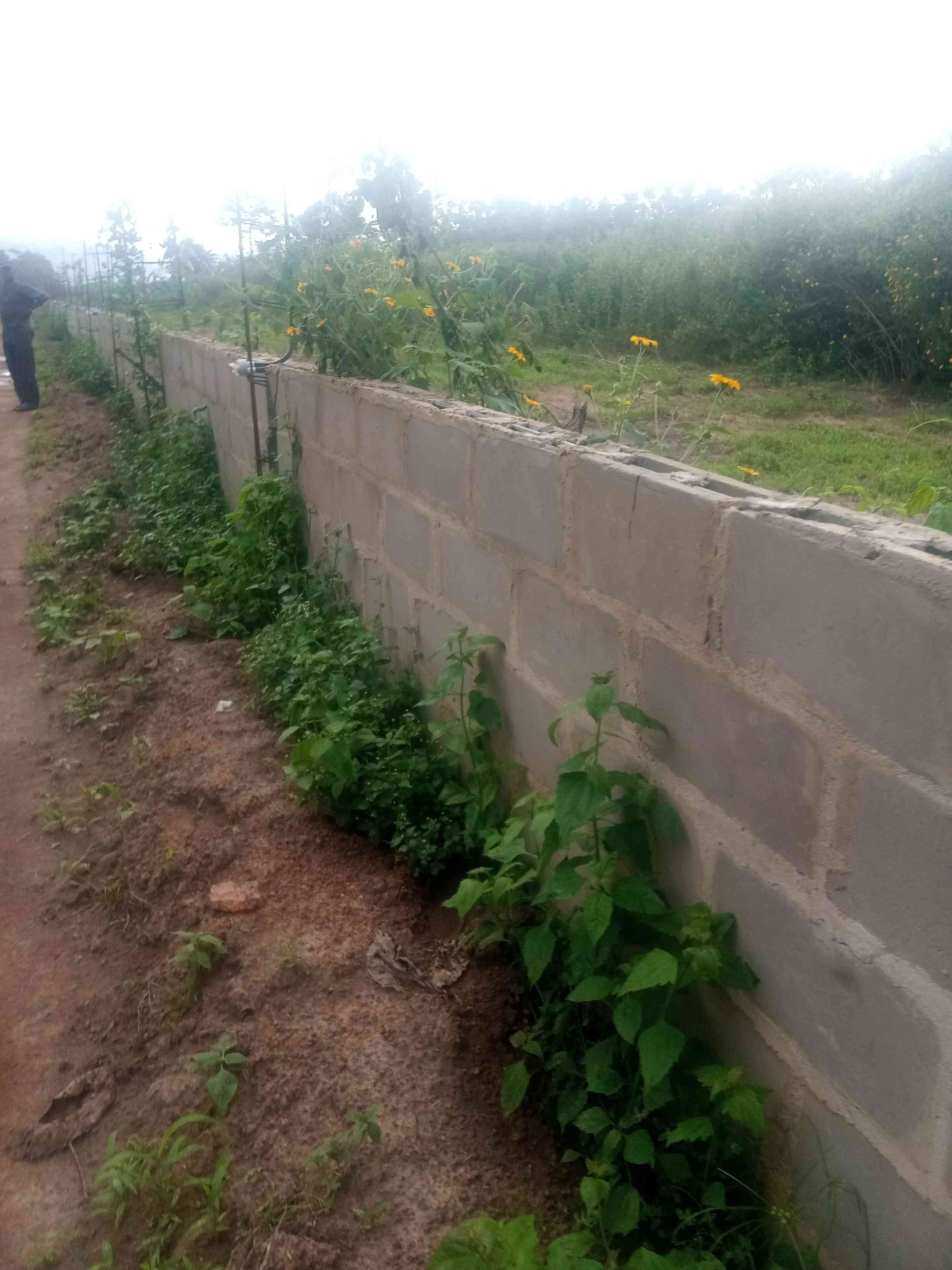 Construction Of 10Km Perimeter Fence