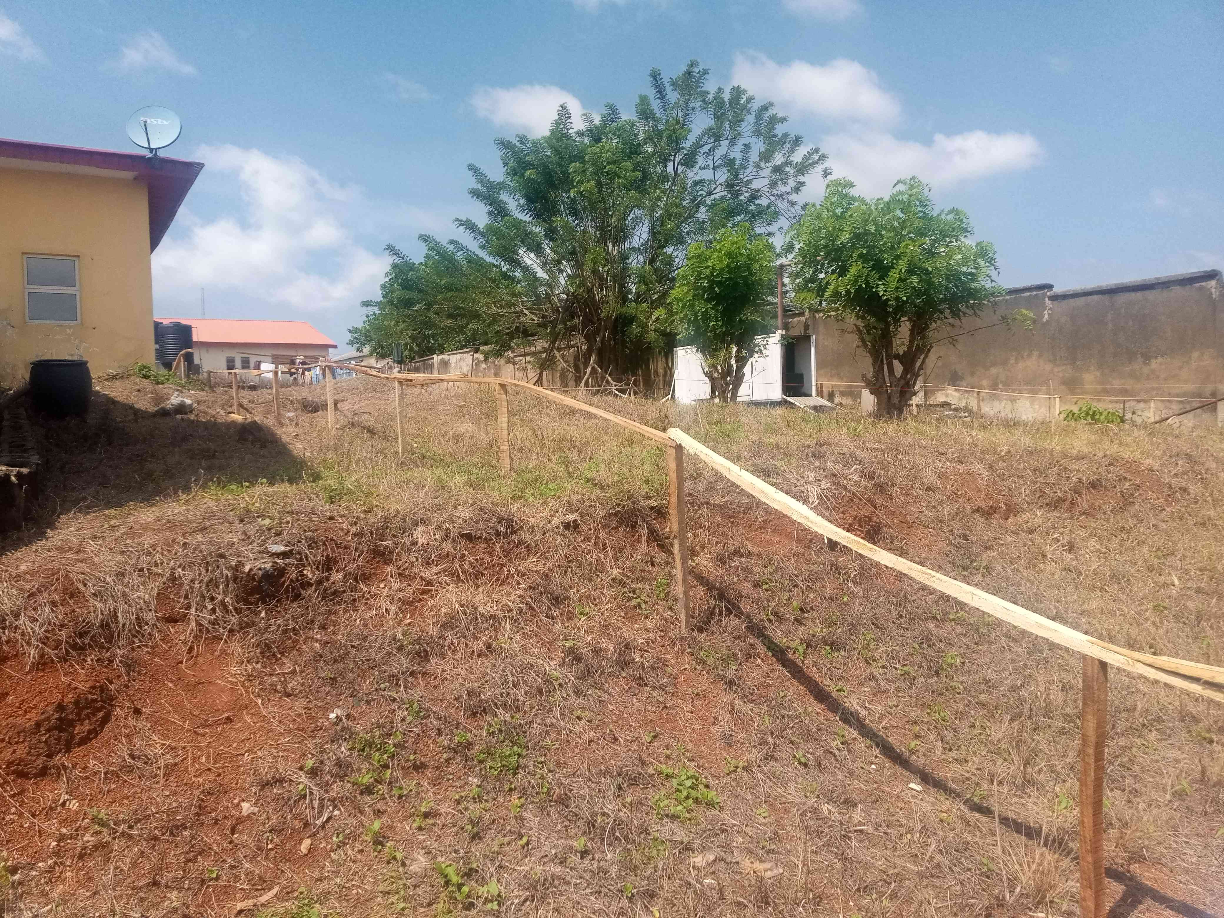 Construction Of Assisted Reproductive Technology Centre