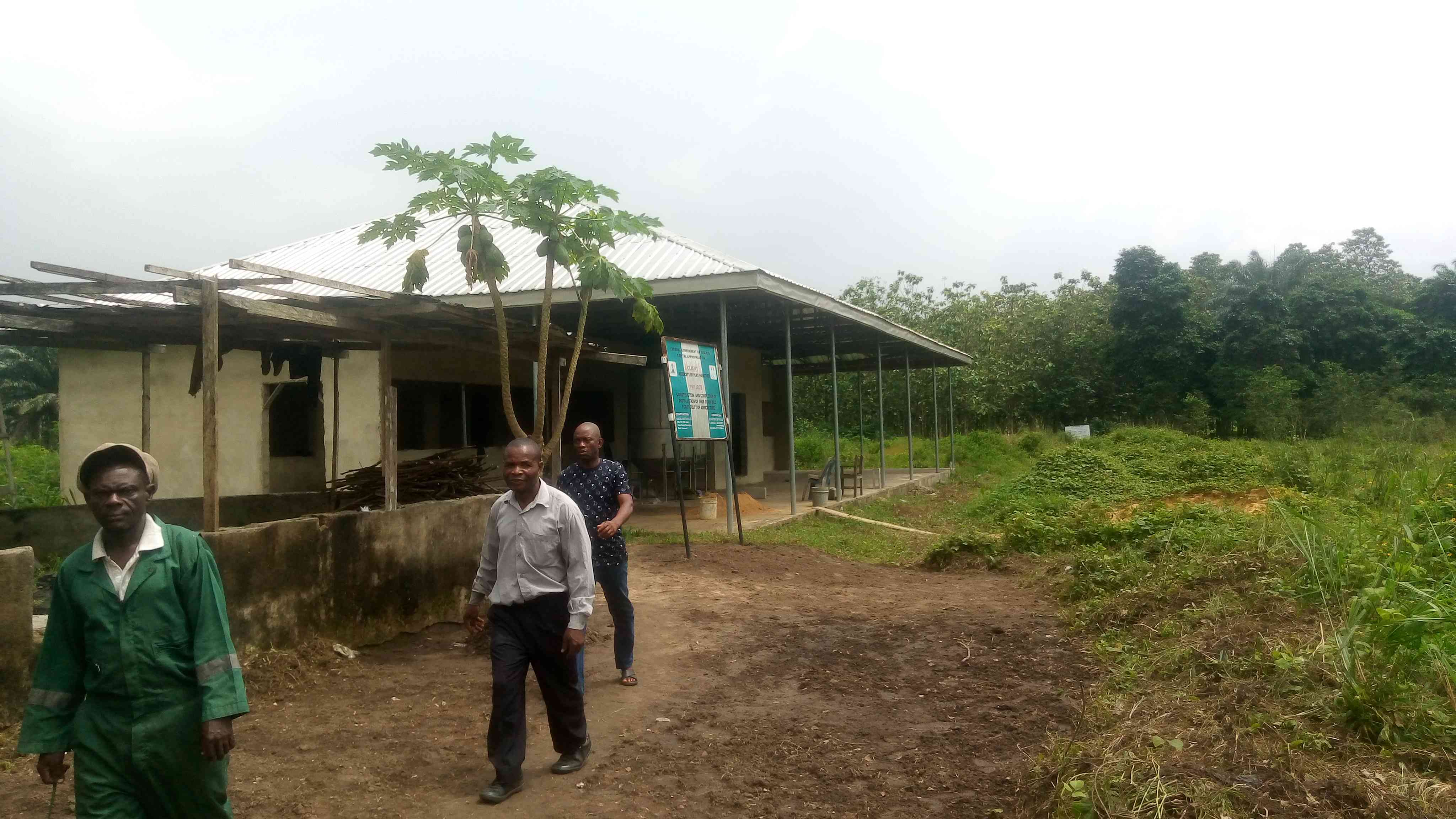 Fabrication And Complete Installation Of 3No Grain Silos For Faculty Of Agriculture