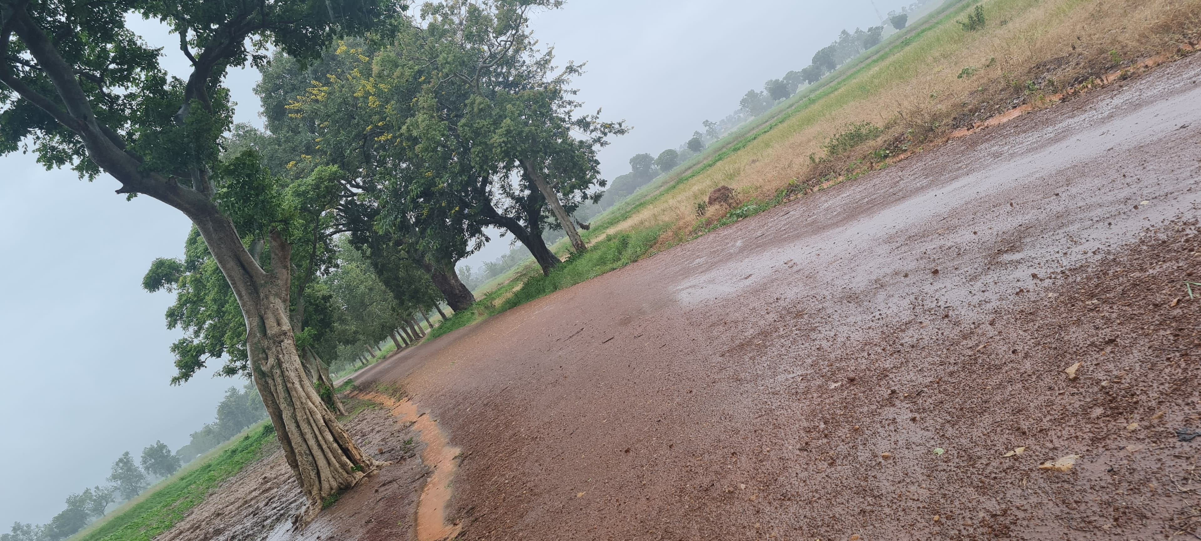 Construction/Rehabilitation/Repairs Of Internal And Farm Roads, Drainages And Culverts