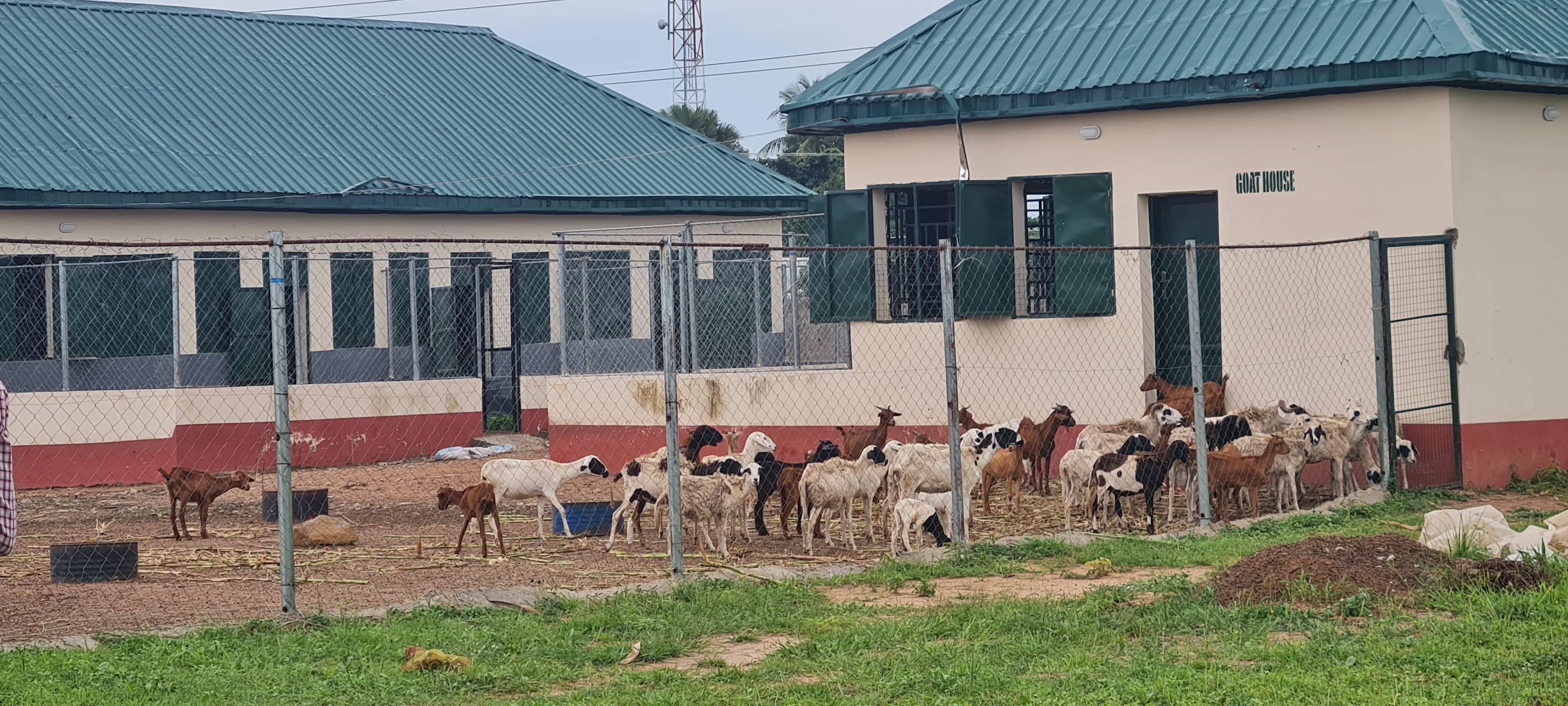 Establishment Of Proposed Shonghai Model Farm Centre