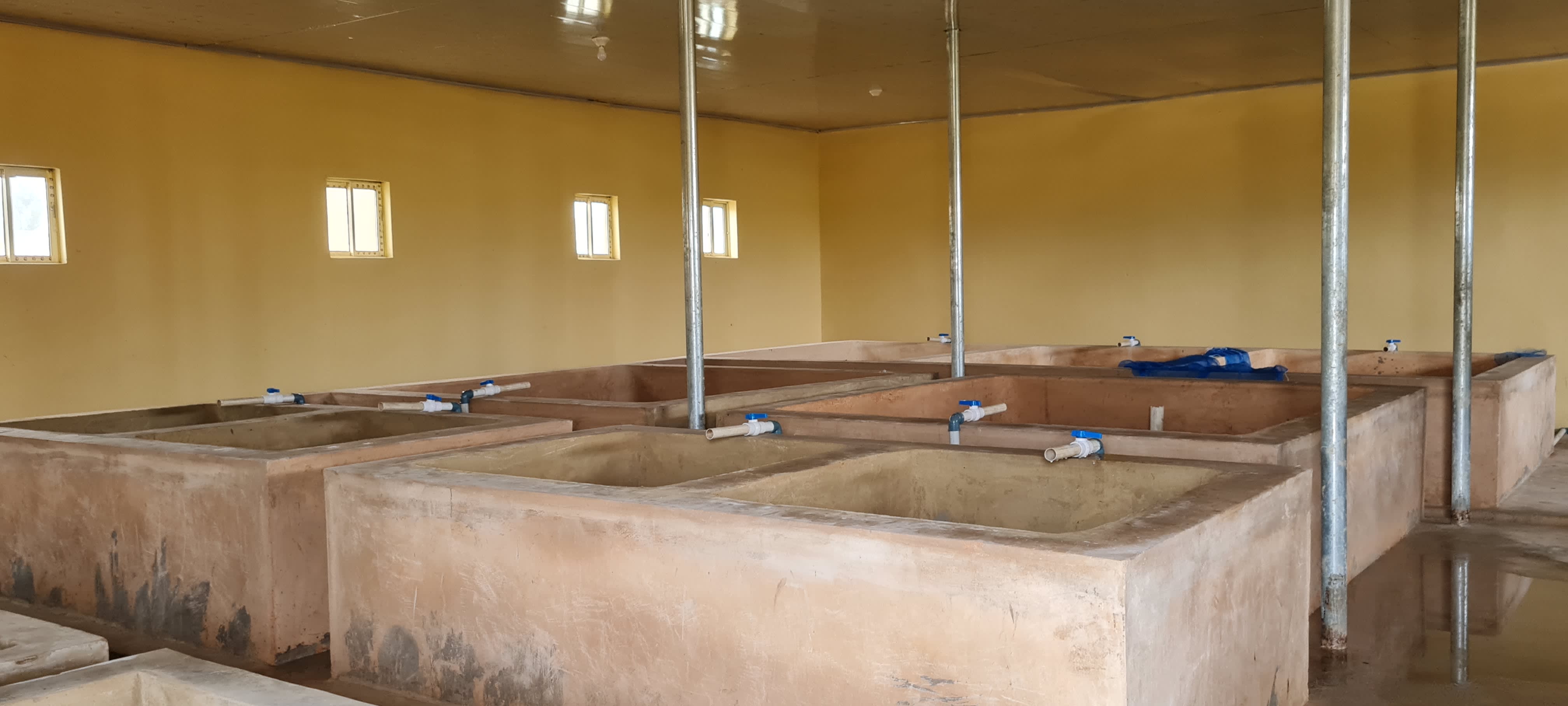 Construction Of Modern Fish Hatchery, Fish Handling And
Processing Centre